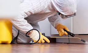 Emergency Pest Control Services in Florence, CO